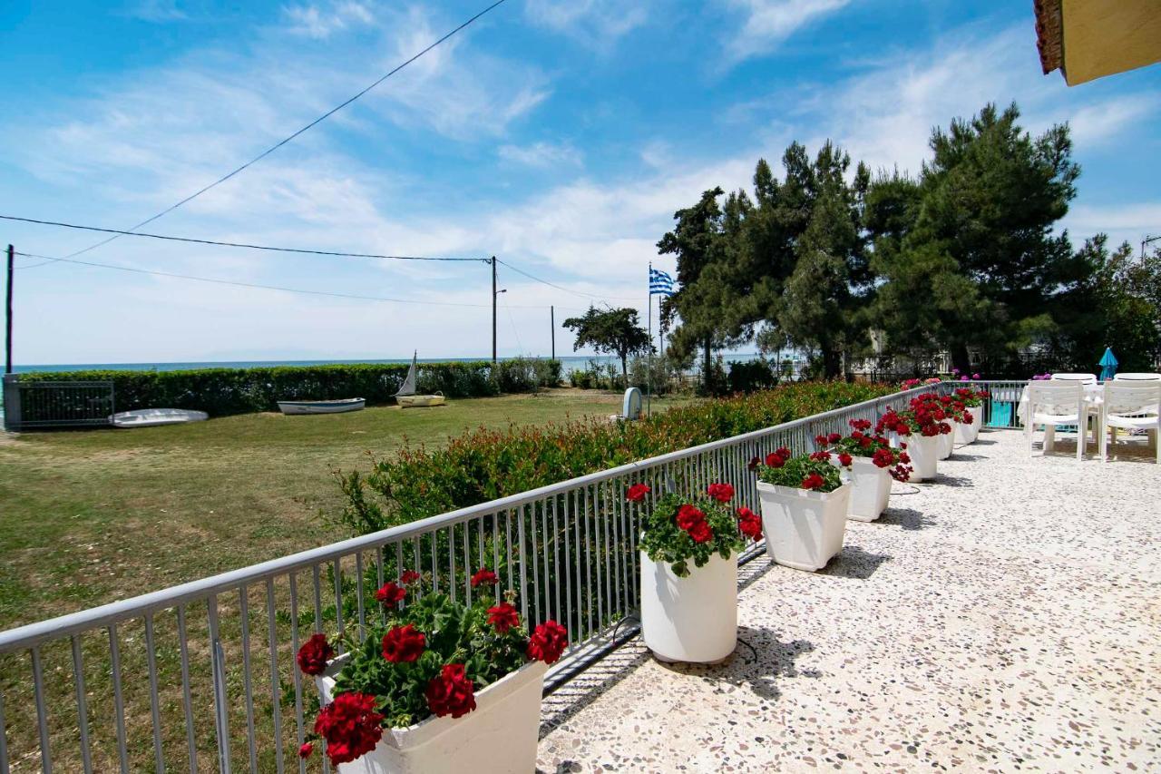 Clio Beach House By Travel Pro Services - Metochi Halkidiki 索佐波尔 外观 照片
