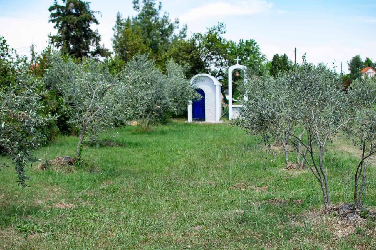Clio Beach House By Travel Pro Services - Metochi Halkidiki 索佐波尔 外观 照片