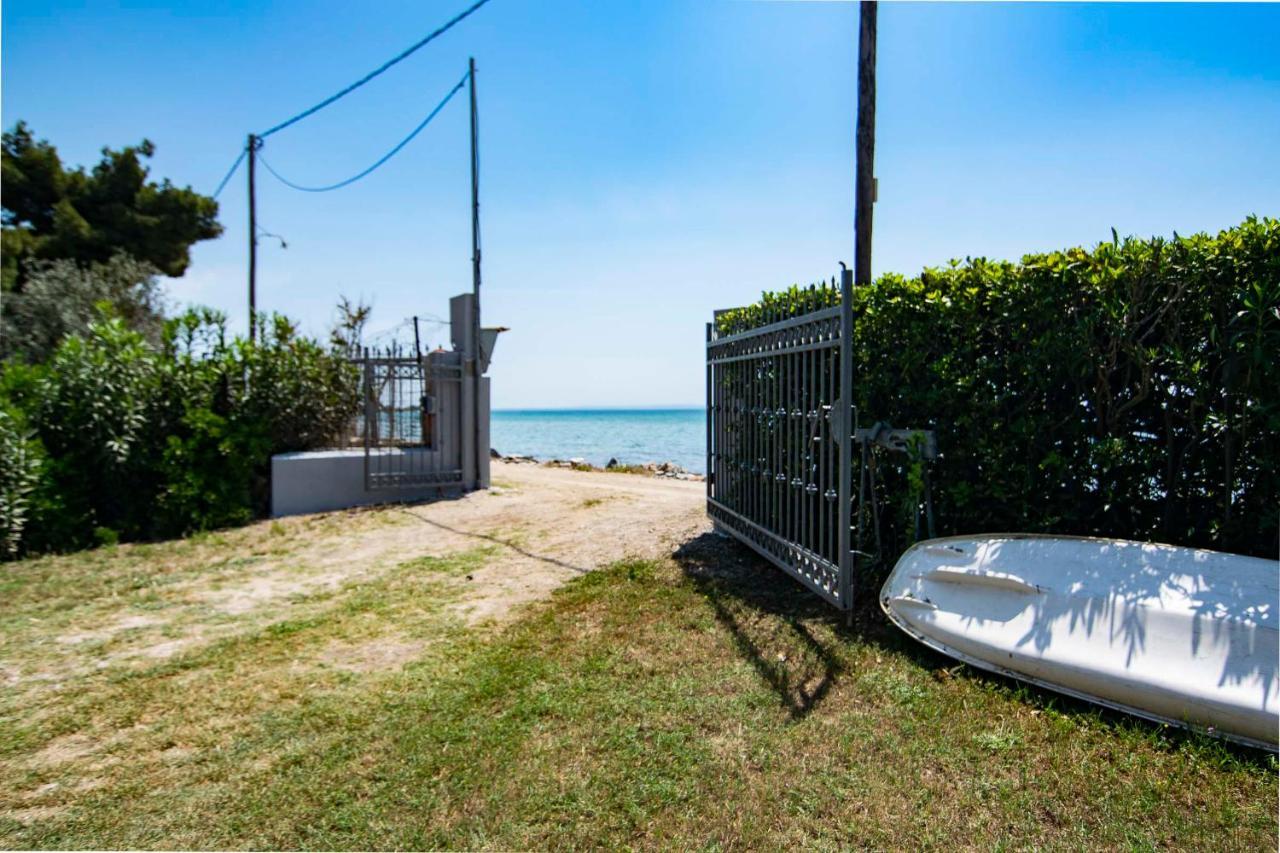 Clio Beach House By Travel Pro Services - Metochi Halkidiki 索佐波尔 外观 照片