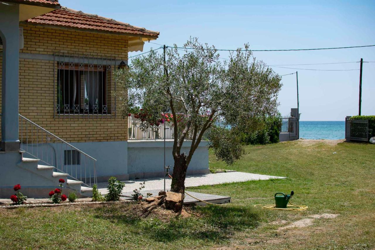Clio Beach House By Travel Pro Services - Metochi Halkidiki 索佐波尔 外观 照片