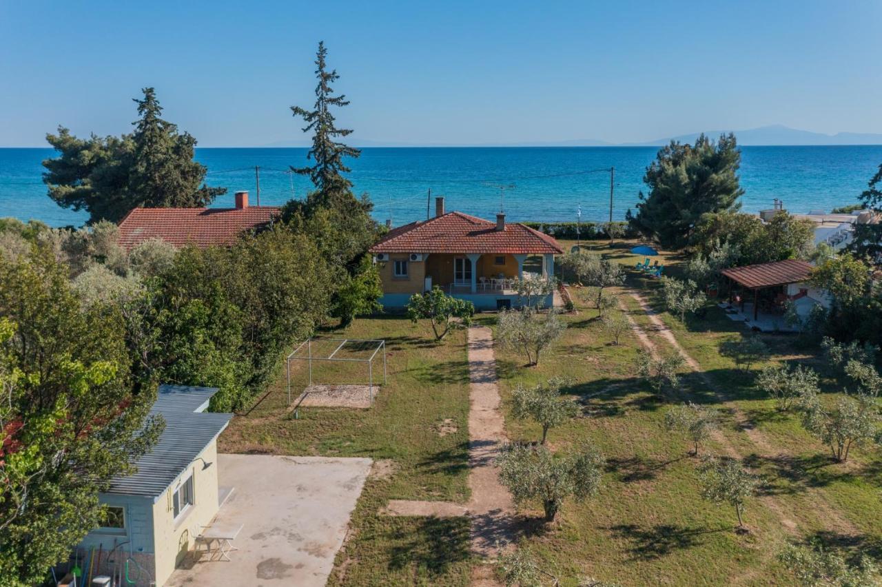 Clio Beach House By Travel Pro Services - Metochi Halkidiki 索佐波尔 外观 照片