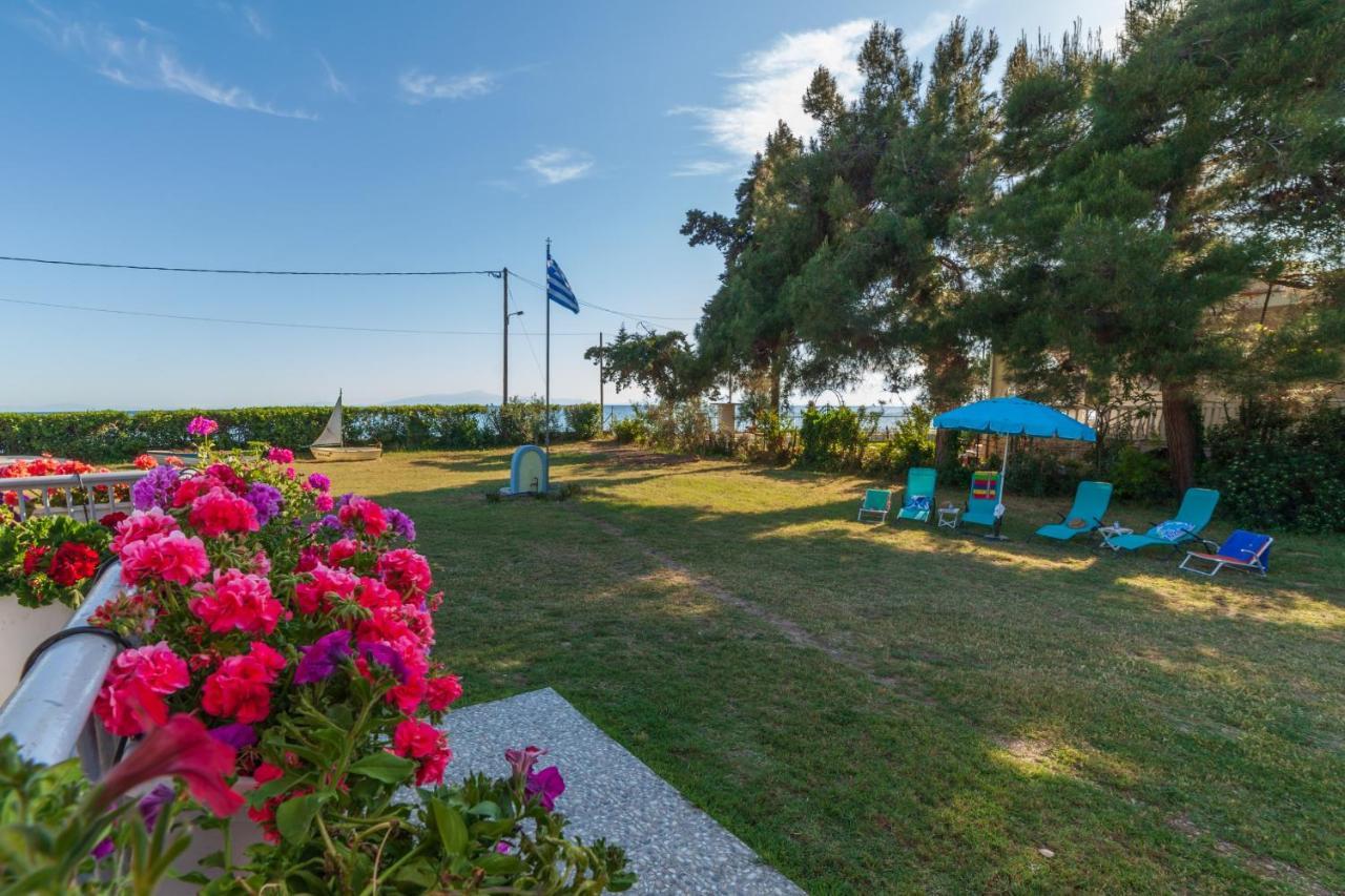 Clio Beach House By Travel Pro Services - Metochi Halkidiki 索佐波尔 外观 照片